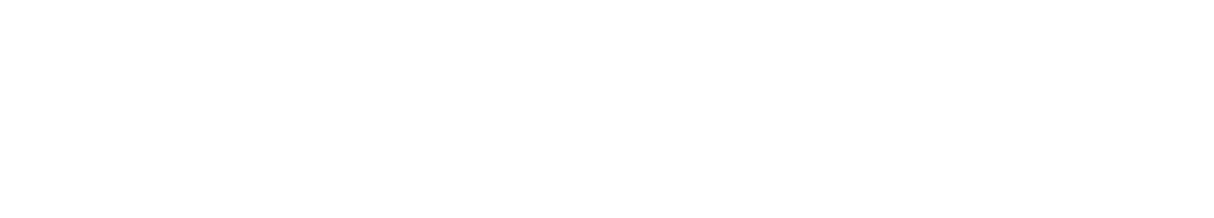 Nat1ve One Logo